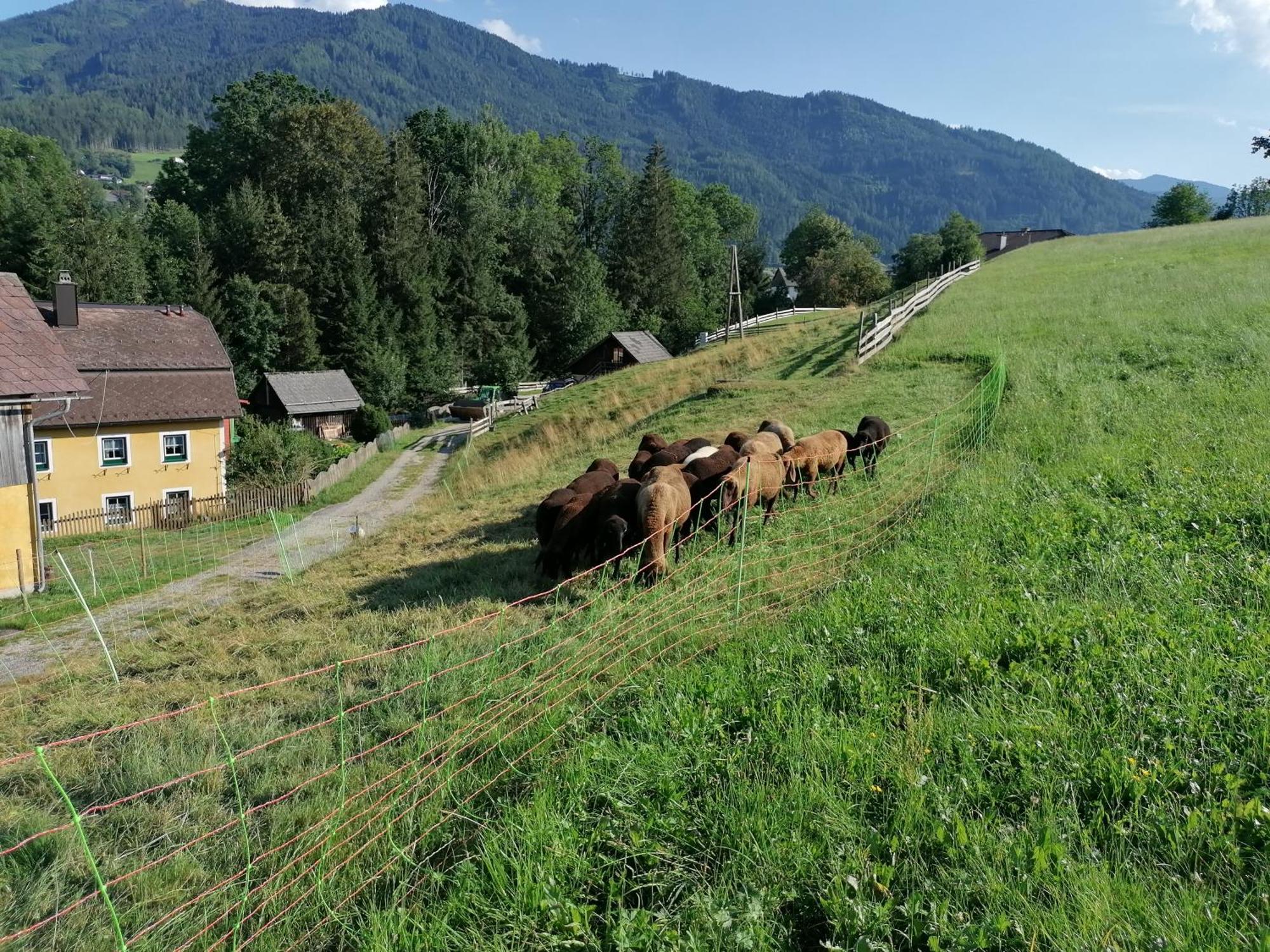Ferienwohnung Weppermuehle Niederdorf Kültér fotó